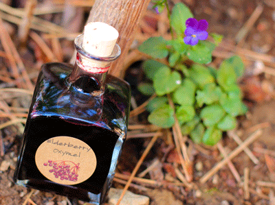 oxymel ecetm&eacute;z